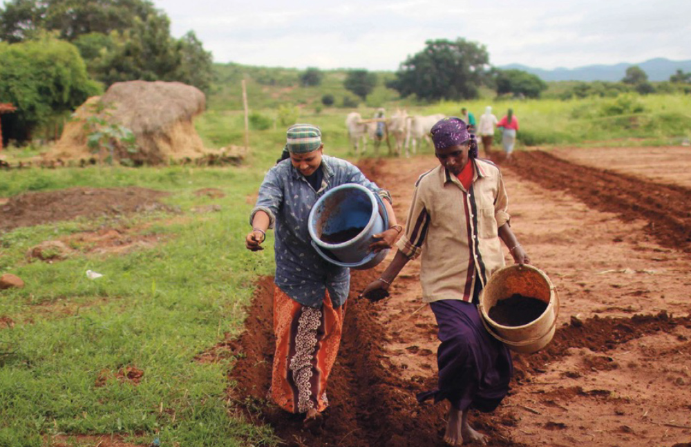 Via Campesina