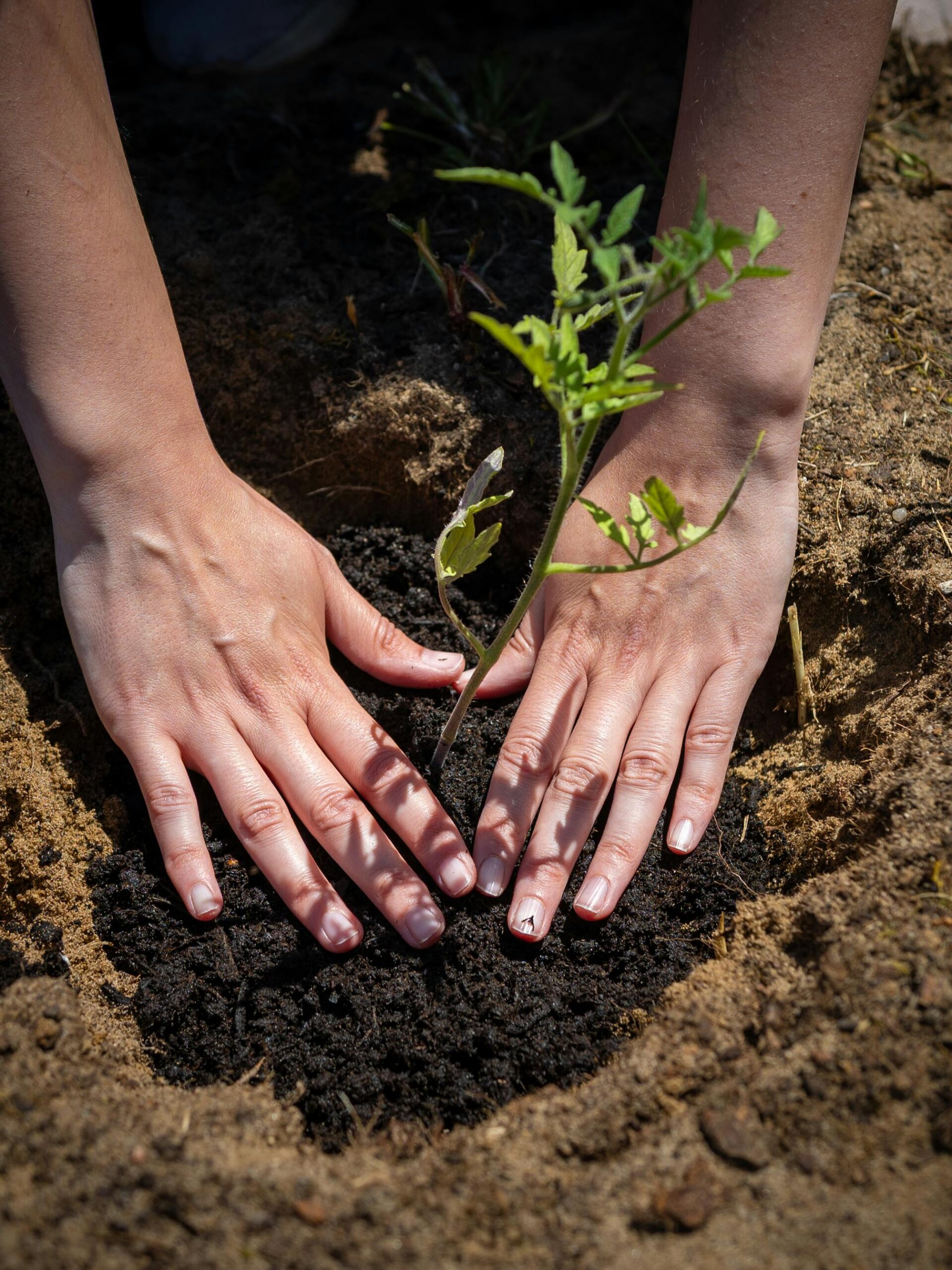 Connect With The Earth